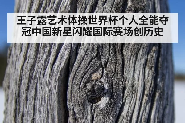 王子露艺术体操世界杯个人全能夺冠中国新星闪耀国际赛场创历史