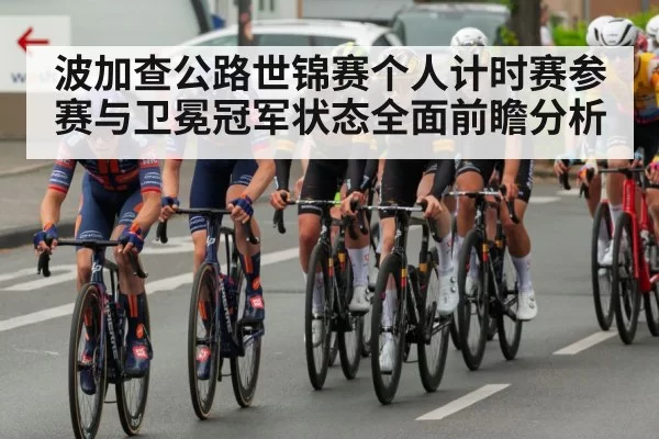 professional road cycling race